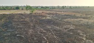 Unique Location Plot at Reduced Price - Prampram Beach Lane