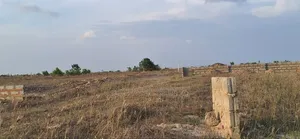 Neatly Established Estate Lands at Ningo Prampram