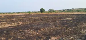Genuine Estate Plot Allocation at Afienya - Shai Hills