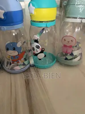 Water Bottle