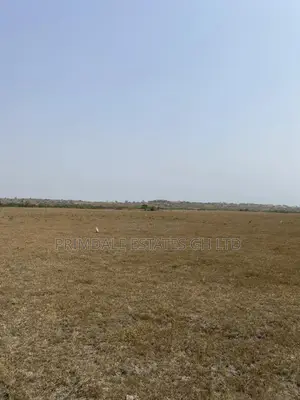 Genuinely 70* 50 Plot for Sale at Ningo Prampram(Affordable)