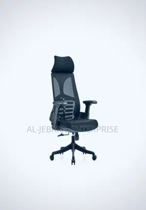 Eldo Pro Office Chair (Rfk-Xa801)