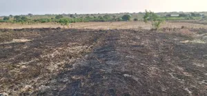 Free Estate Land Documents at Afienya - Shai Hills