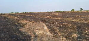 Free Estate Land Documents at Afienya - Shai Hills