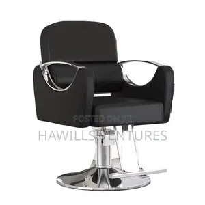 Salon Chair.