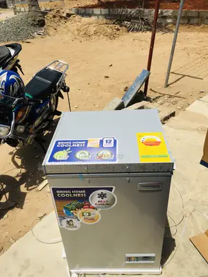 Upright 100 Litres Chest Freezer Nasco
