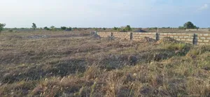 Huge Half Plot // Verified at Afienya - Shai Hills