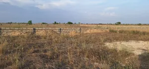 Huge Half Plot // Verified at Afienya - Shai Hills