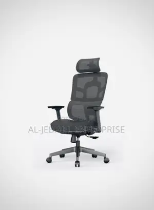 Eldo Pro Office Chair(Rfk-Xa003-S)