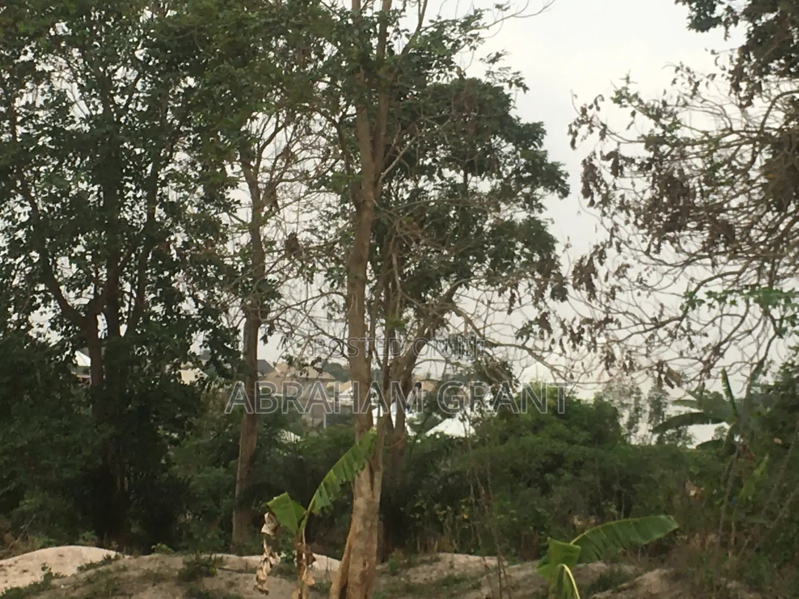 Plot of Land for Sale at Ejisu Edwinese