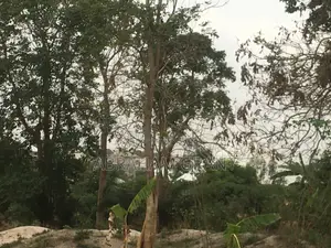Plot of Land for Sale at Ejisu Edwinese