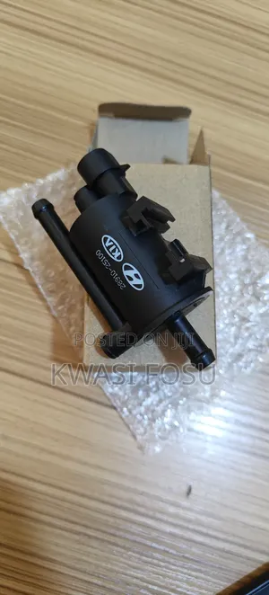 Hyundai Santa Fe,Tucson,Optima,Sportage,Forte Purge Valve
