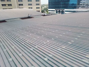 Roof Leakage and Maintenance