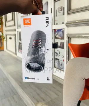 Choose Unique Flip 6 Wireless Speaker(Gray) 