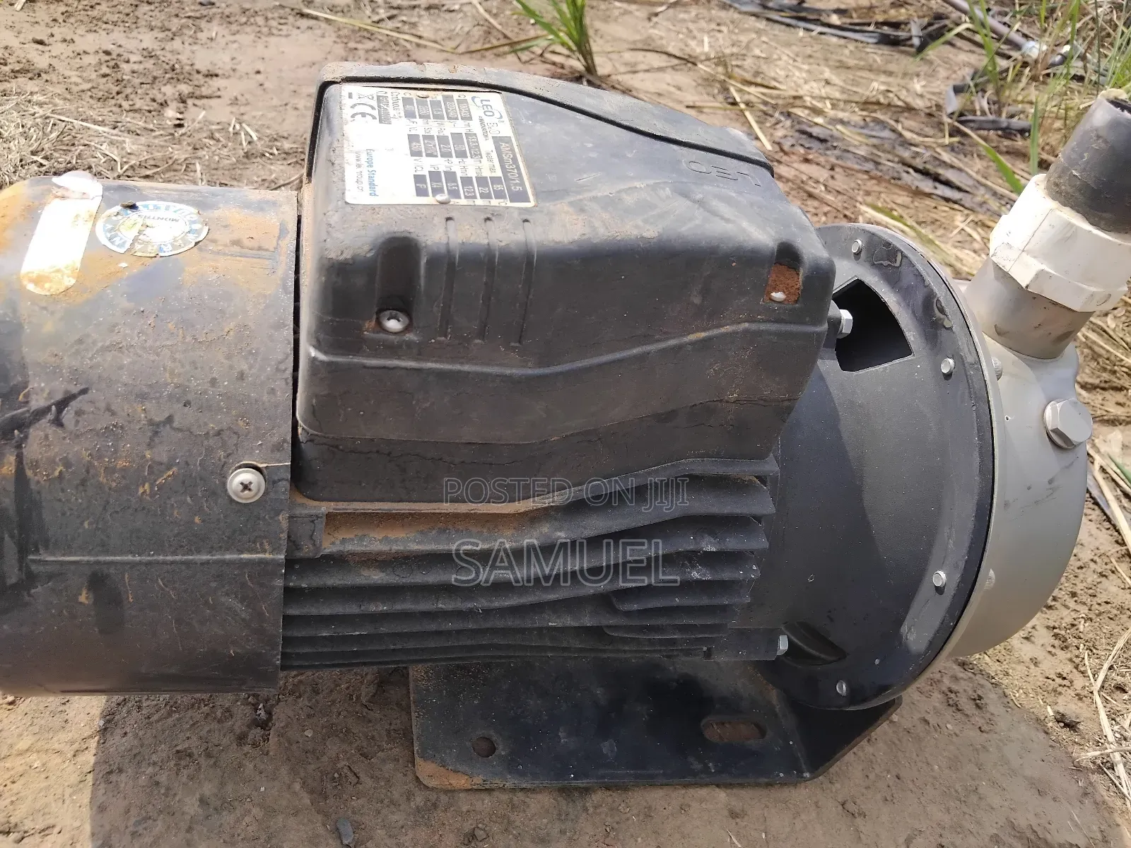 Surface Pump