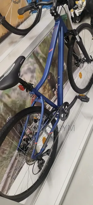 Bicycle (Riverside)
