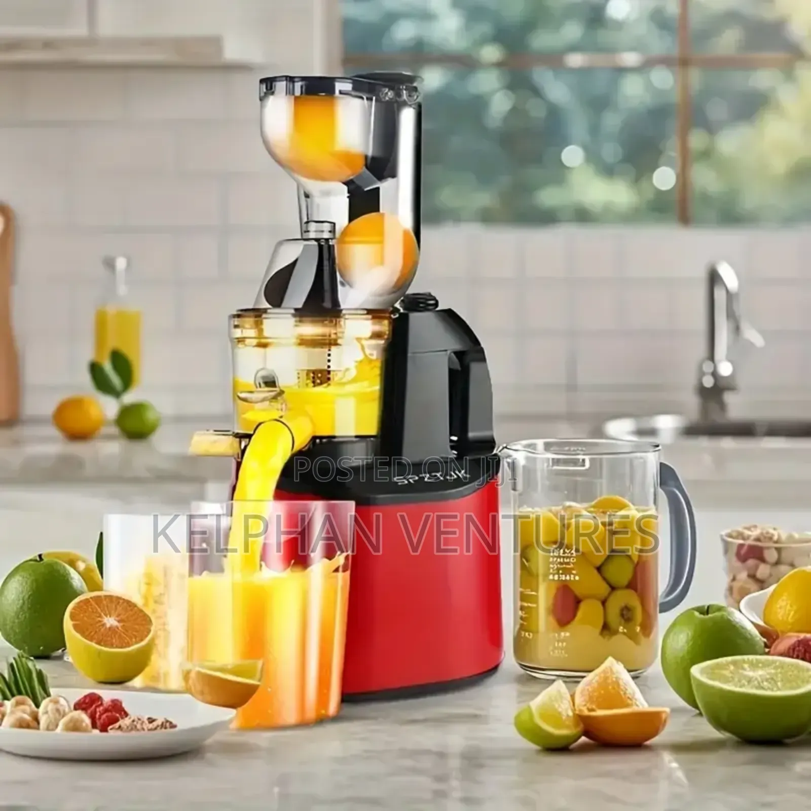 Dessini Juice Extractor