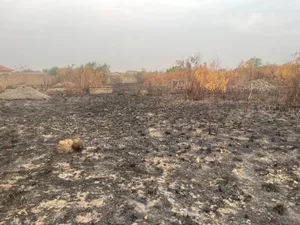 6 Plots of Land for Sale at Dodowa