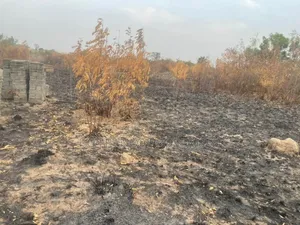 6 Plots of Land for Sale at Dodowa