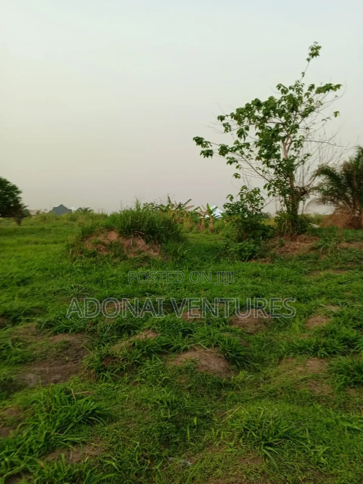 Full Plot of Land for Sale in Abuakwa Mim