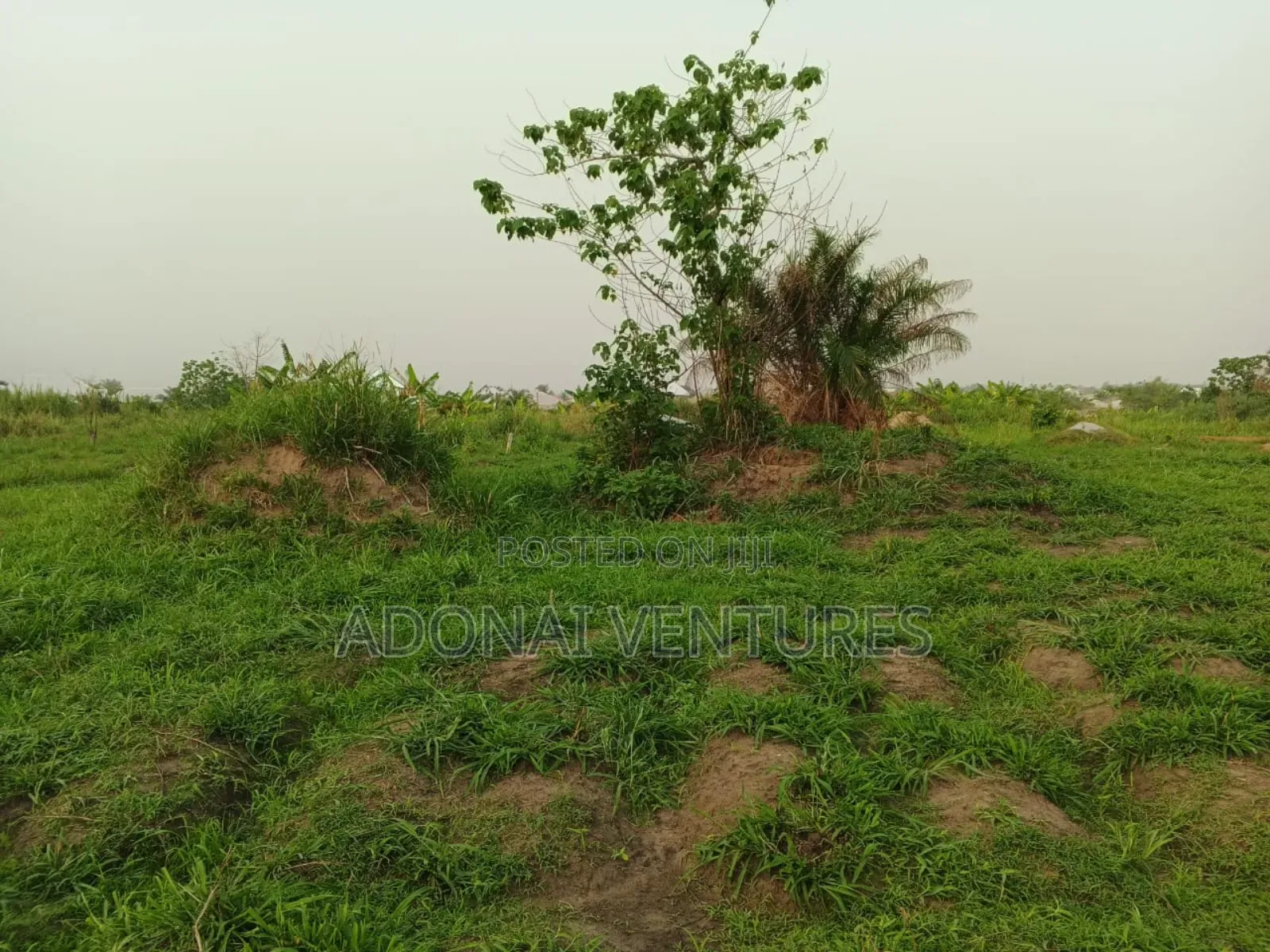 Full Plot of Land for Sale in Abuakwa Mim