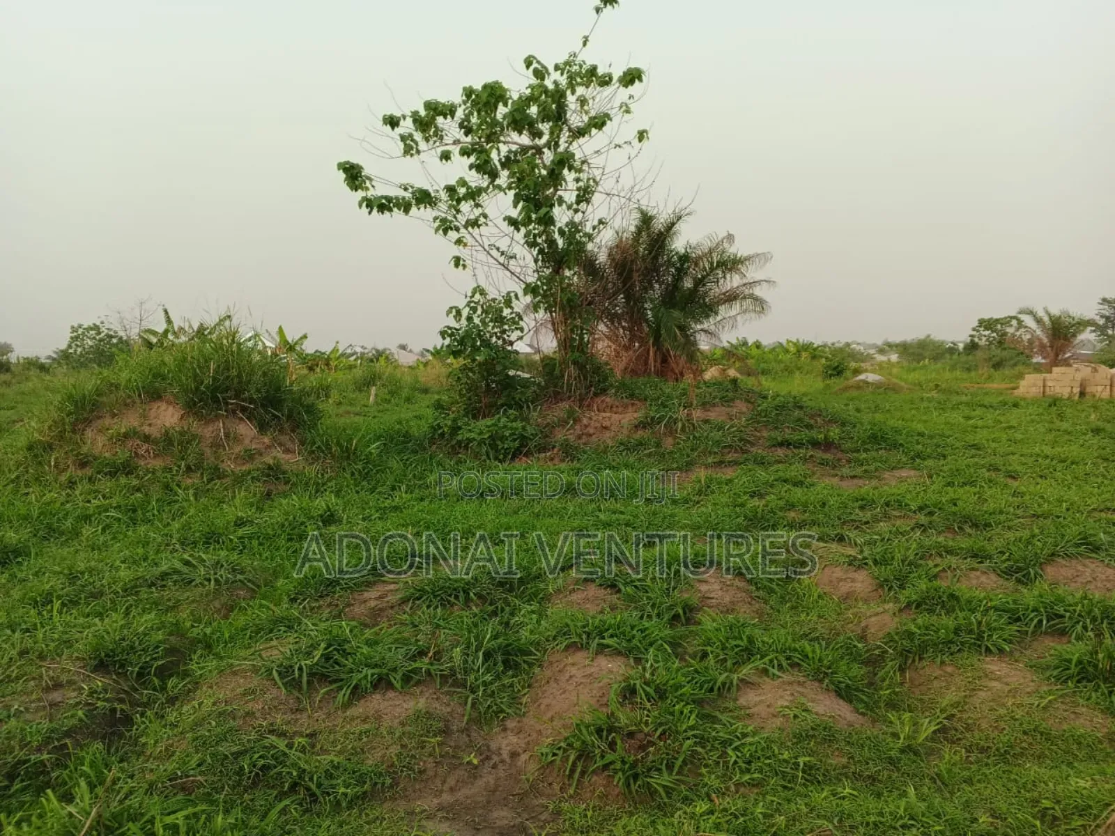 Full Plot of Land for Sale in Abuakwa Mim