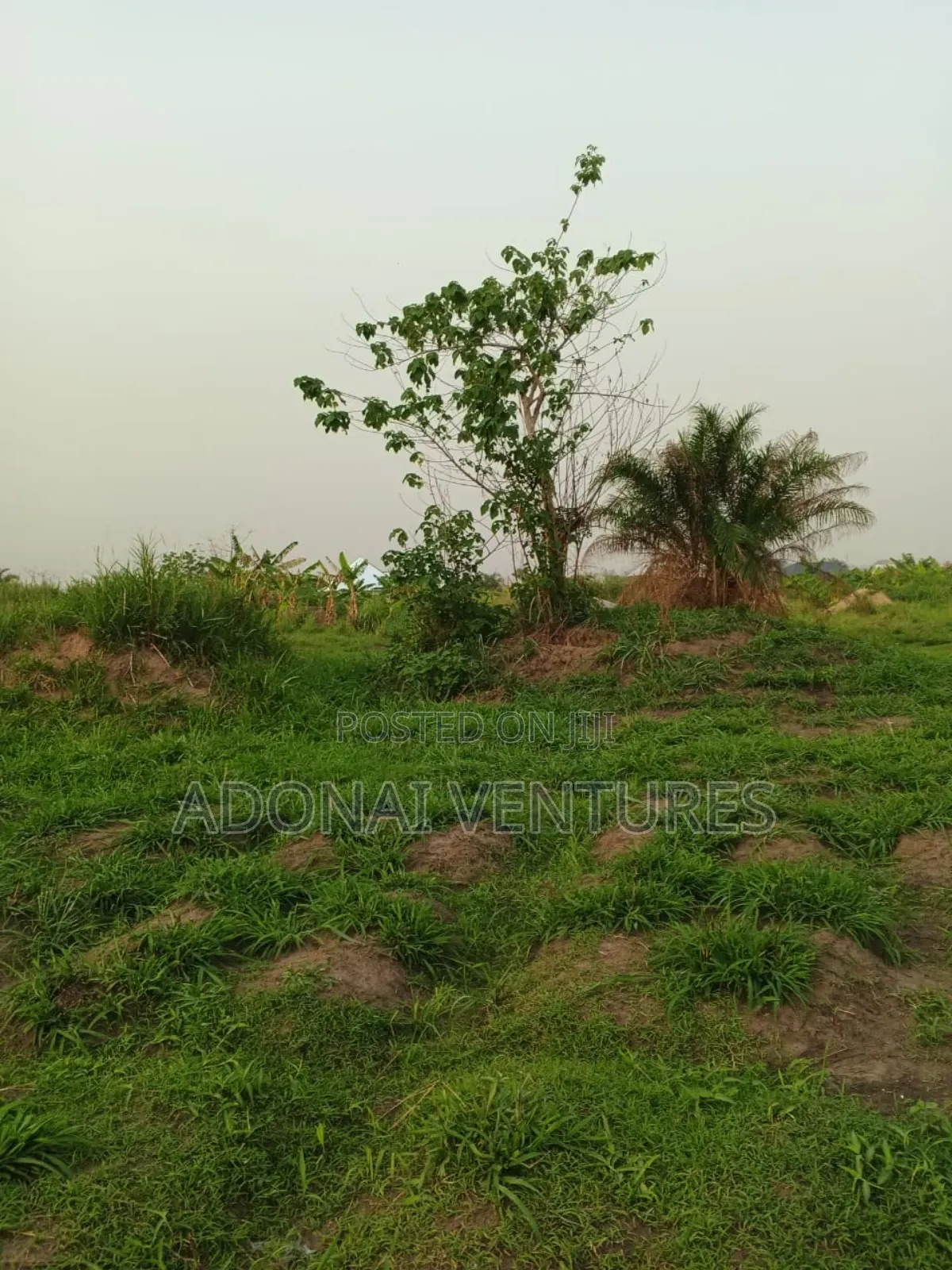 Full Plot of Land for Sale in Abuakwa Mim