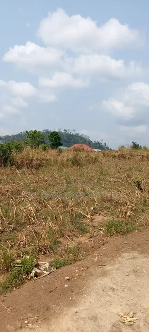 4 Plots of Land for Sale at Spintex