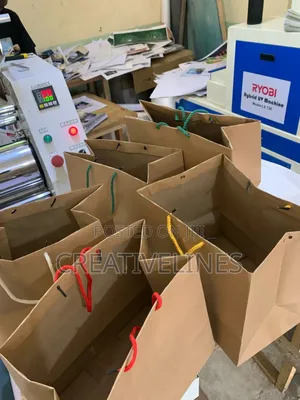 Plain Paper Bags