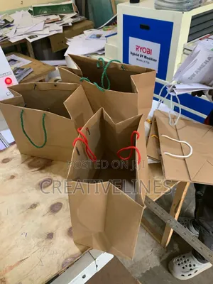 Plain Paper Bags