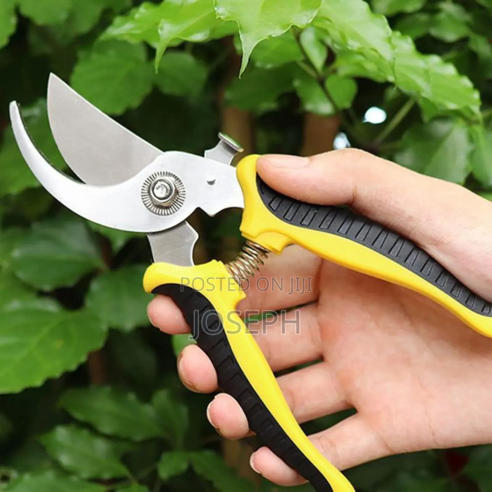 Garden Shears Prune