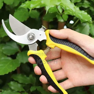 Garden Shears Prune