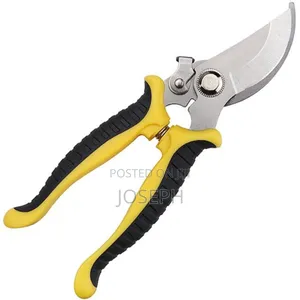 Garden Shears Prune