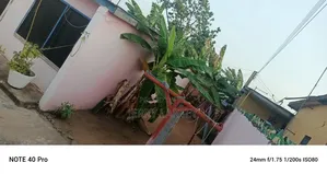 1bdrm House in Poly Clinic, Dansoman for sale