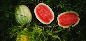 Sweet Water Melon