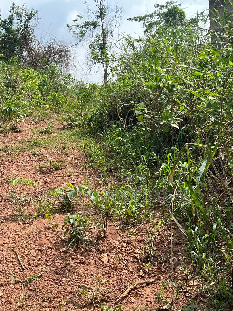 12 Plots of Land for Sale in Ejisu Besease