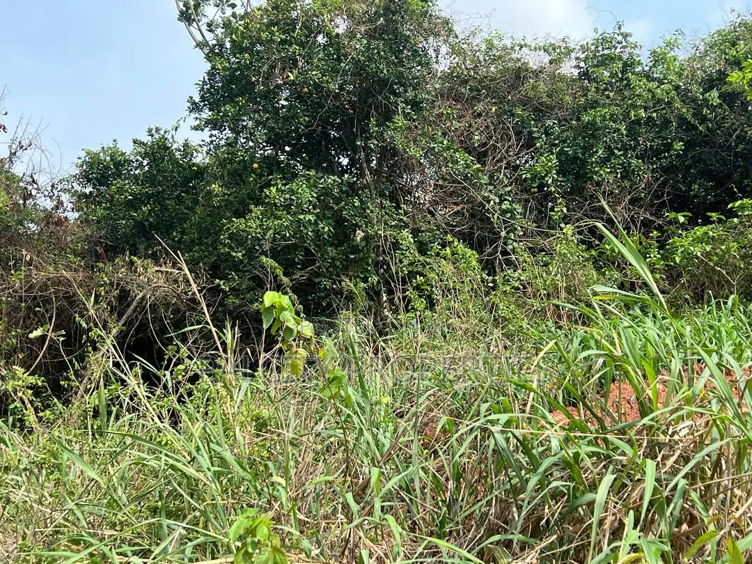 12 Plots of Land for Sale in Ejisu Besease