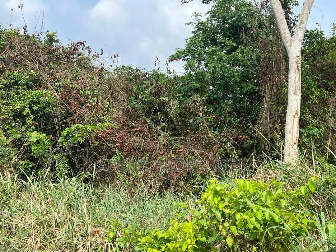 Land for Sale in Ejisu Besease