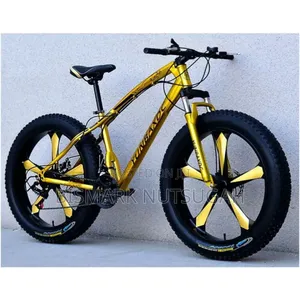 Fat Tire Bicycle for Sale