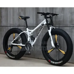 Fat Tire Bicycle for Sale
