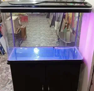 Quality Aquarium Tank ( Full Set Up)
