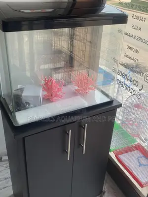 Package 2 Feet Aquarium Tank