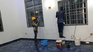 Estates and Construction Cleaning With Cleantex