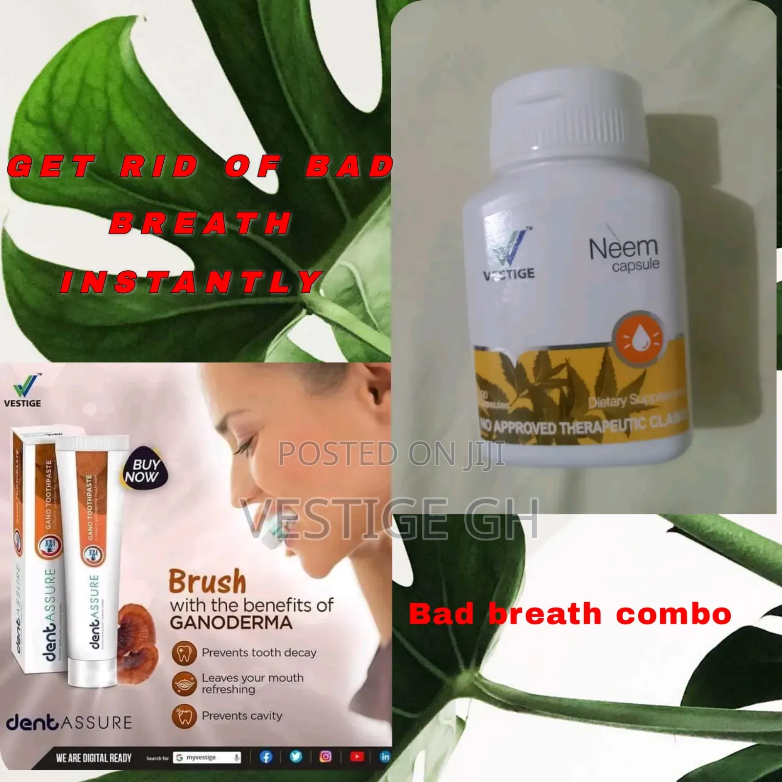 Halitosis/ Bad Breath Combo Neem Capsules Gano Toothpaste