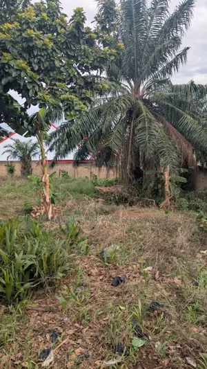Plot of Land of Land for Sale at Kwadaso Agric Akyeremade