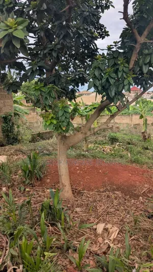 Plot of Land of Land for Sale at Kwadaso Agric Akyeremade
