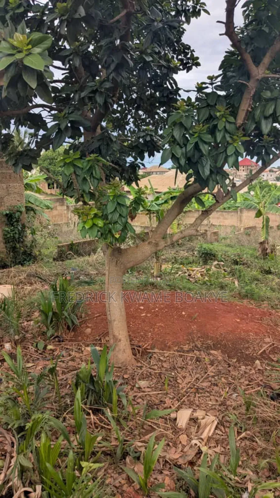 Plot of Land of Land for Sale at Kwadaso Agric Akyeremade