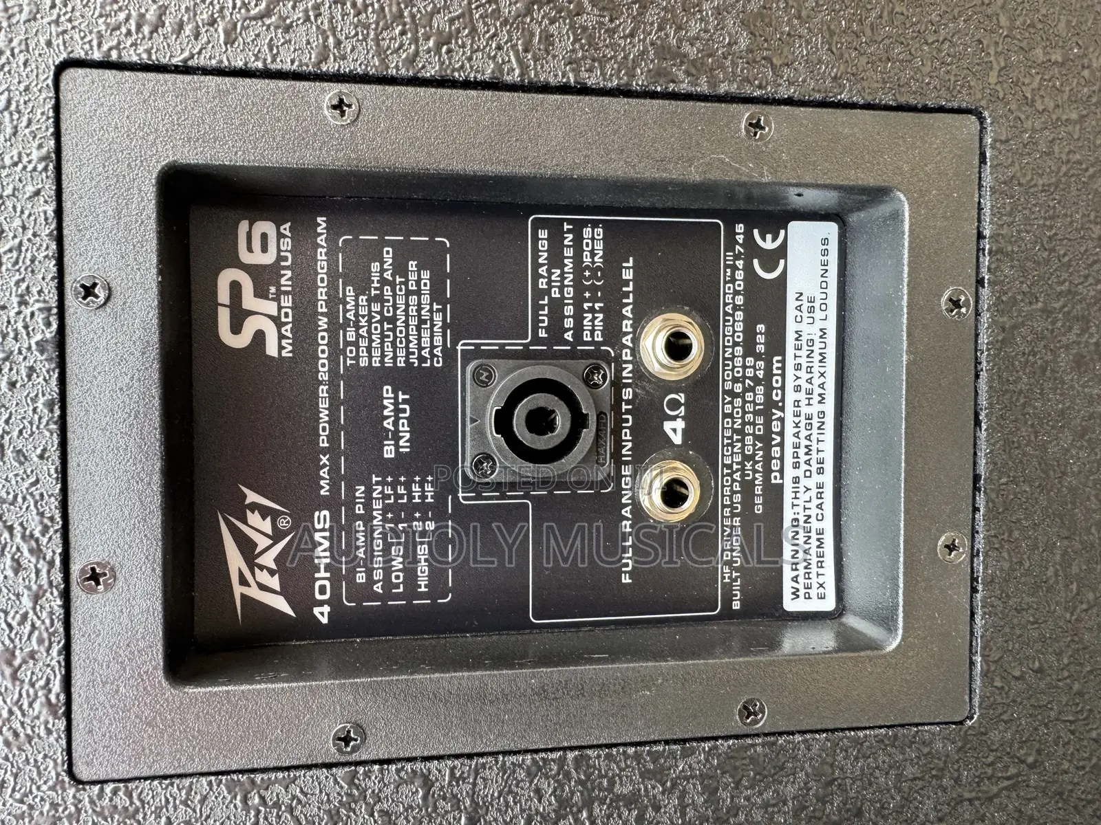 Peavey Spider Mid Speakers