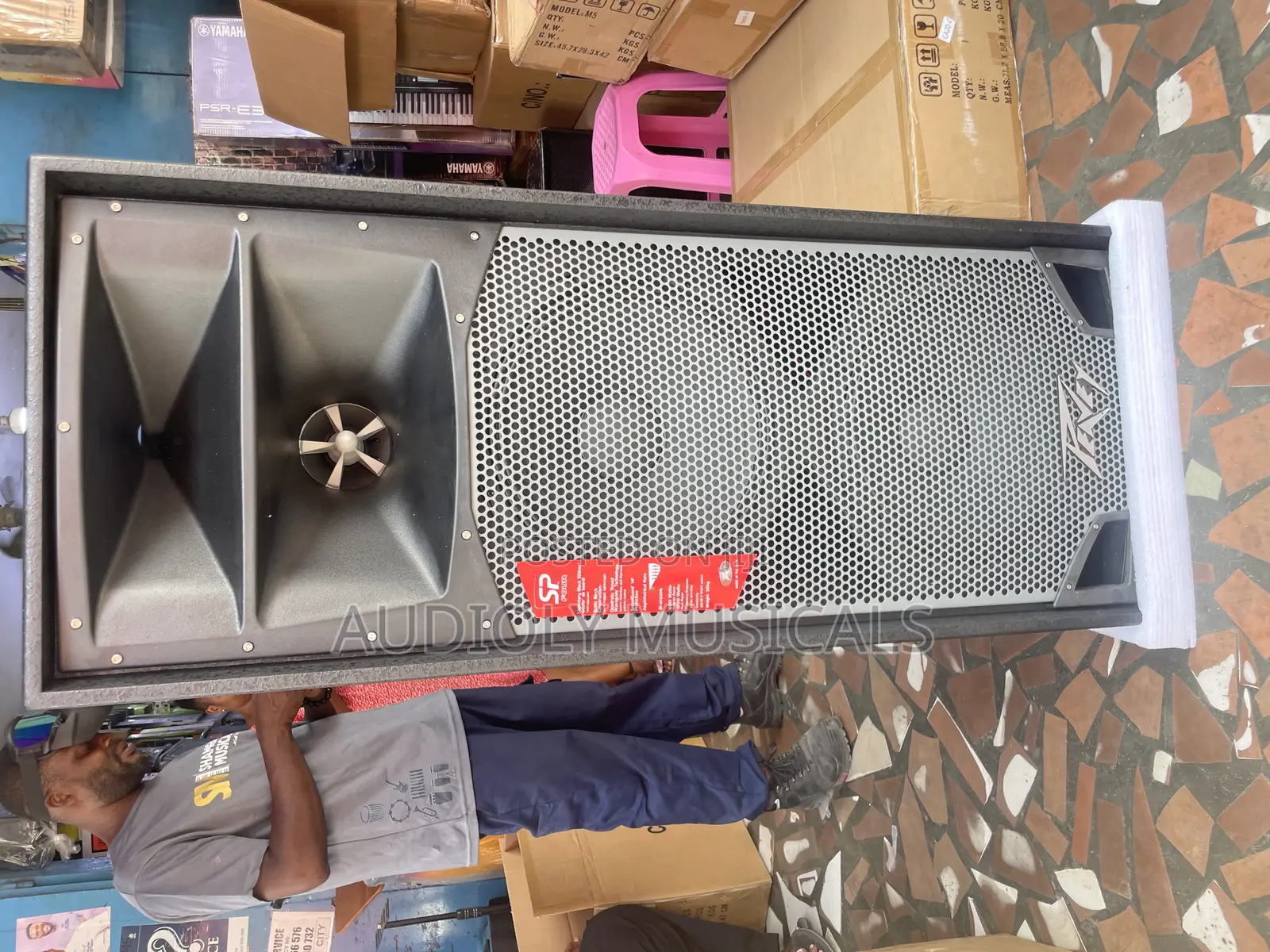 Peavey Spider Mid Speakers