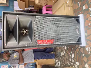 Peavey Spider Mid Speakers